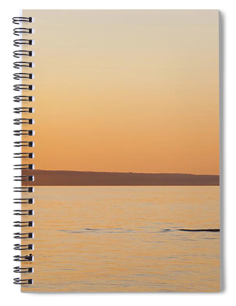 2017 Spiral Notebook featuring the photograph Sunset Lovers by Monroe Payne