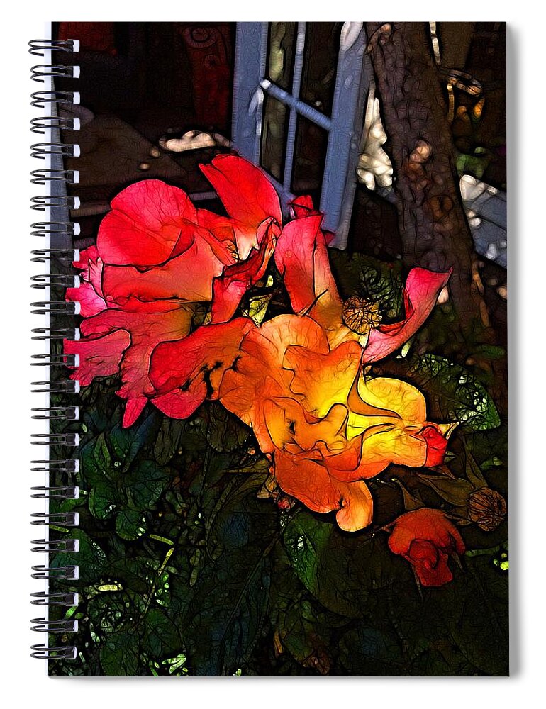Rose Spiral Notebook featuring the photograph Sunset Rose of California by Nick Heap