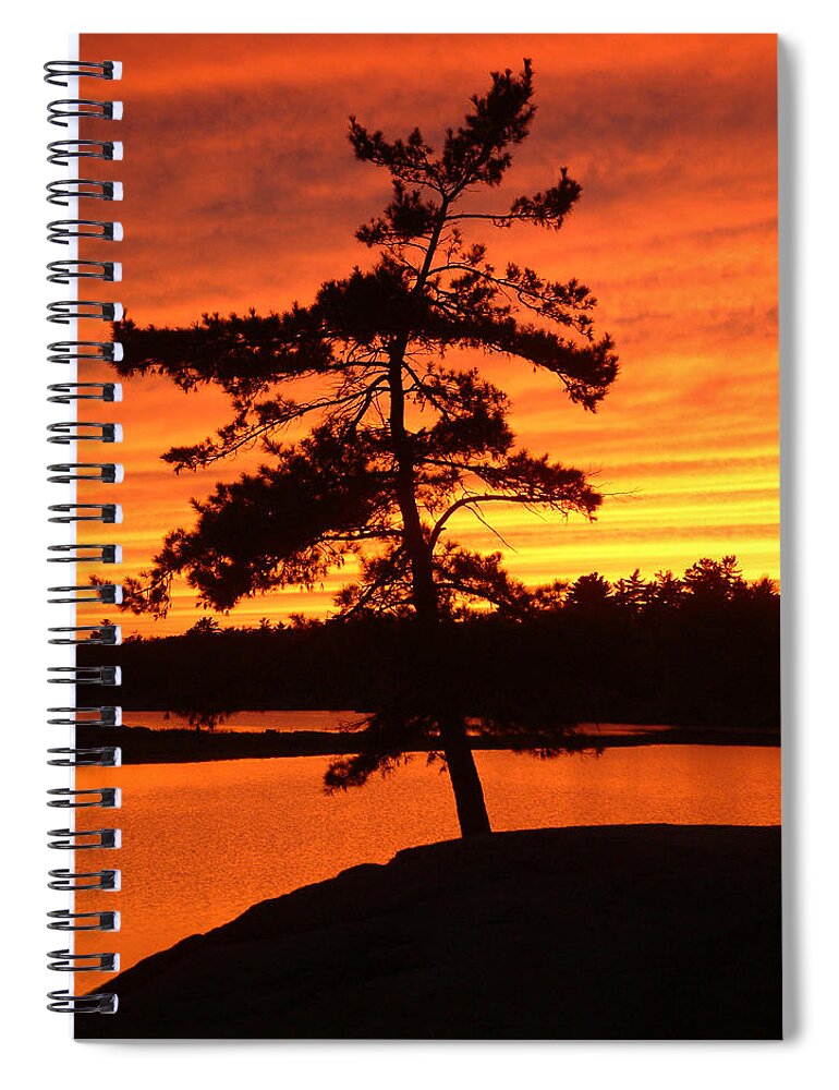 Pine Tree Spiral Notebook featuring the photograph Sunset Solitude by Linda McRae