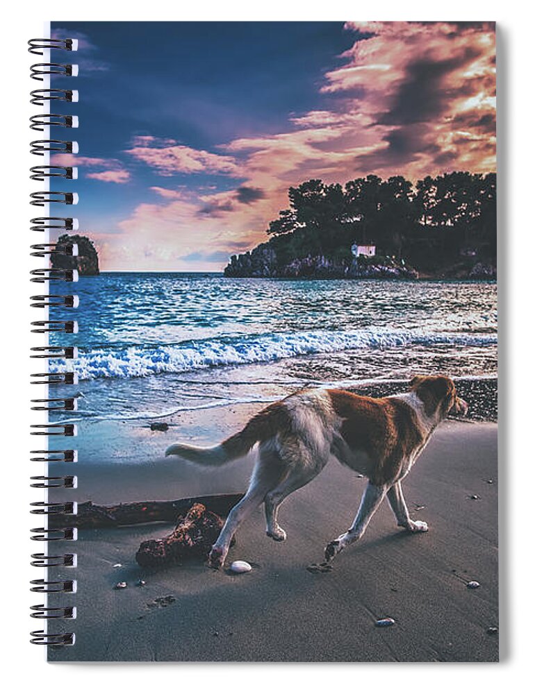 Dog Spiral Notebook featuring the photograph Sunset Stroll by Mountain Dreams