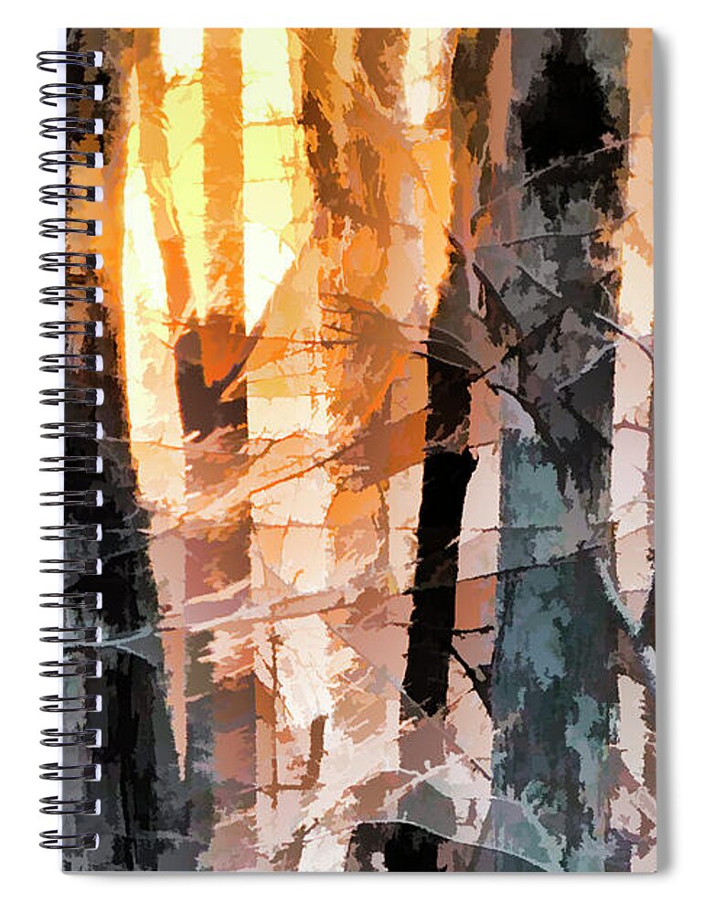 Trees Spiral Notebook featuring the photograph Sunset through the trees by Karen Smale