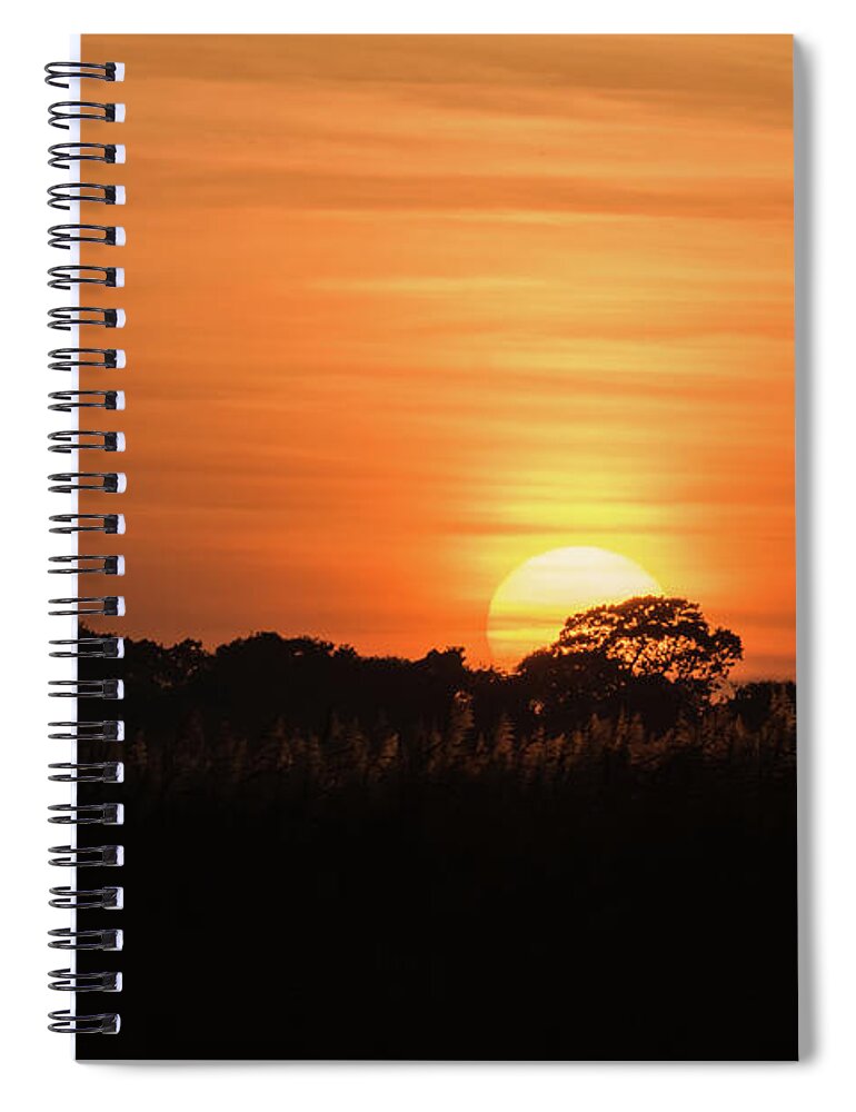 ©wendy Cooper Spiral Notebook featuring the photograph Sunset by Wendy Cooper