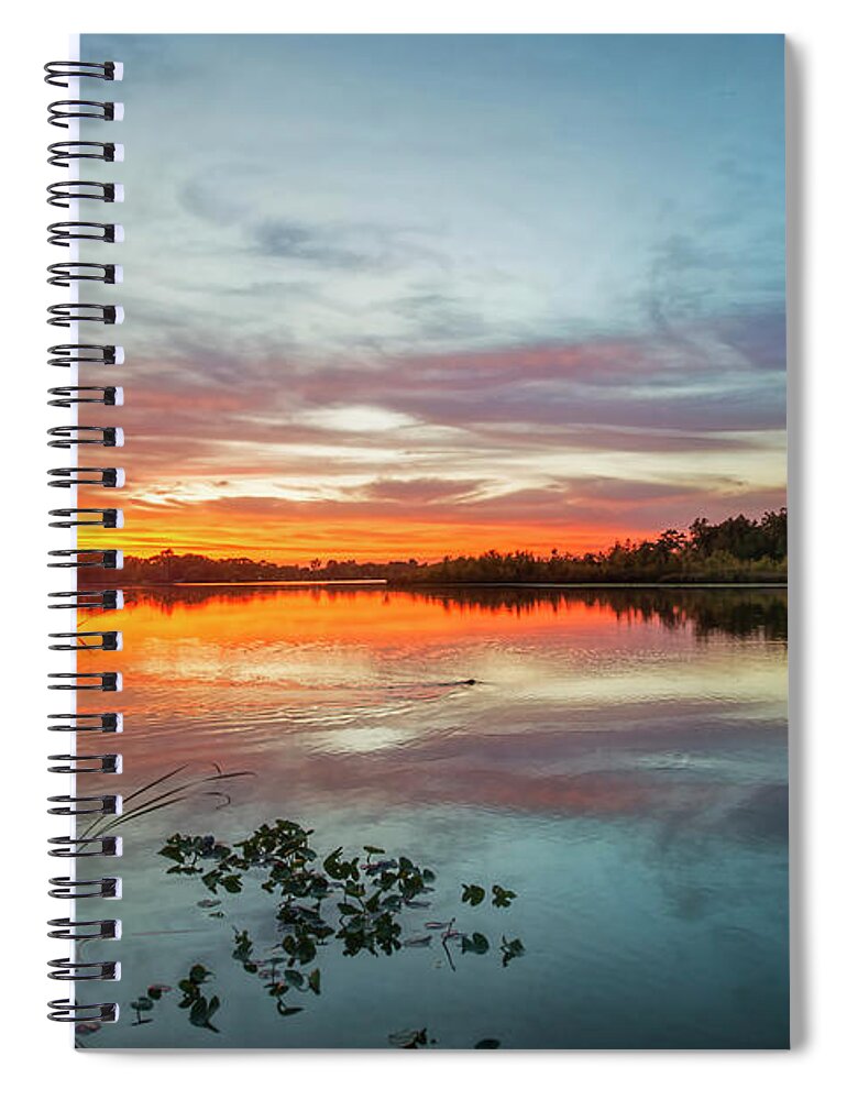 Muskrat Spiral Notebook featuring the photograph Sunset with Muskrat by David Arment