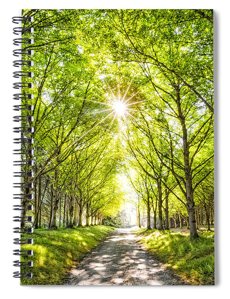 Appalachia Spiral Notebook featuring the photograph Sunshine and Shadows by Debra and Dave Vanderlaan