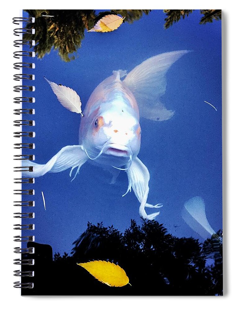 Coy Fish Zen Spiral Notebook featuring the photograph Supercoy by Lauren Serene