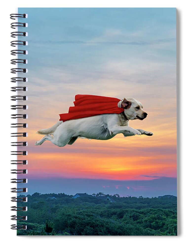2d Spiral Notebook featuring the photograph Superdog by Brian Wallace