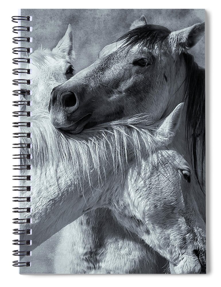 Wild Horses Spiral Notebook featuring the photograph Surrounded by Love BW by Belinda Greb