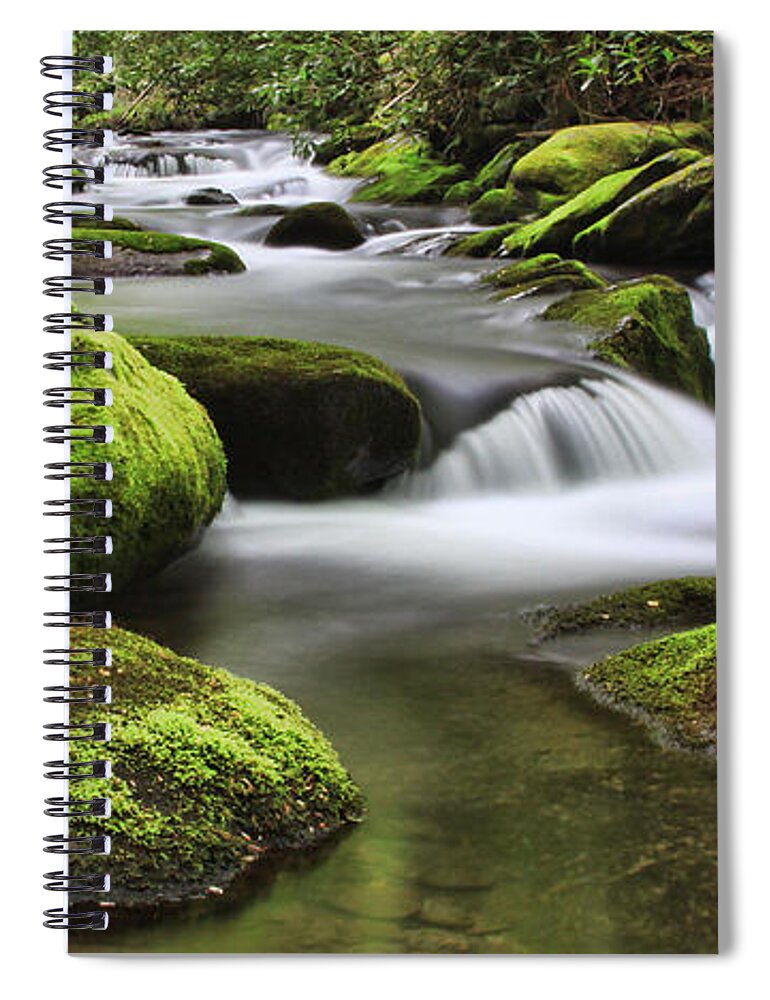 Green Spiral Notebook featuring the photograph Surrounded in Green by Shari Jardina