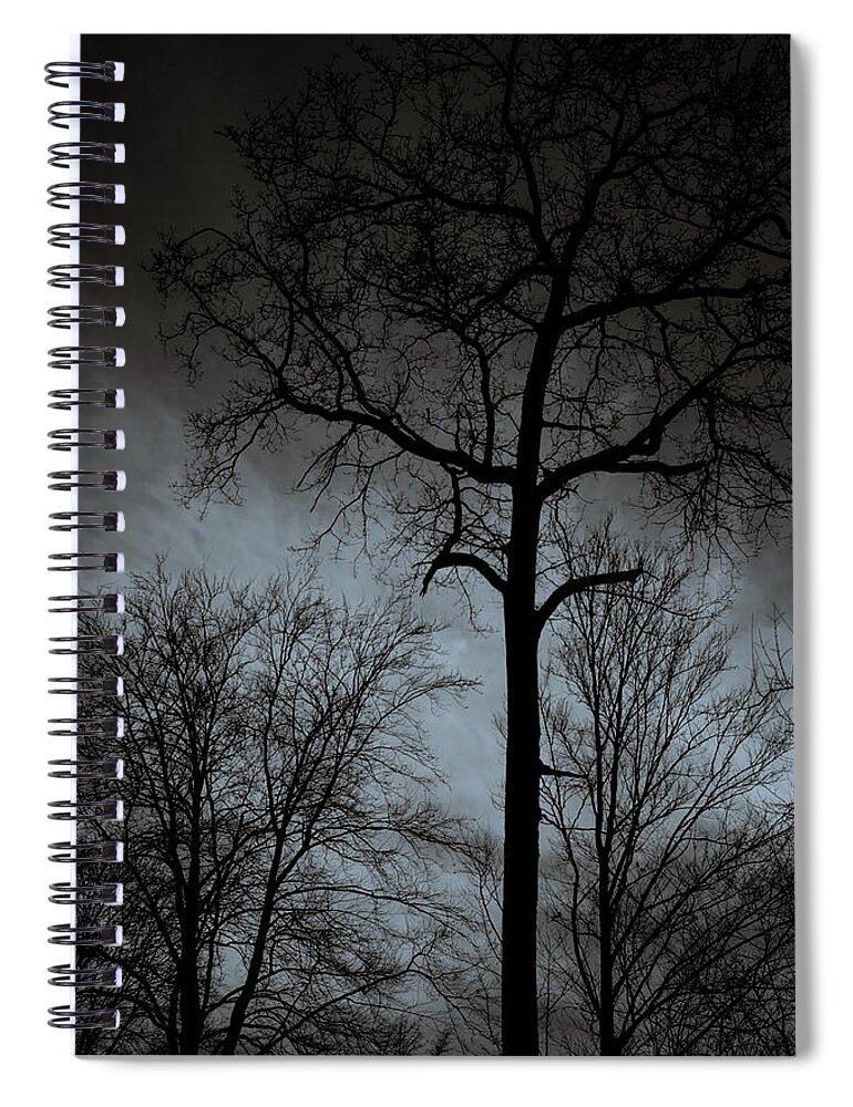 Winterpacht Spiral Notebook featuring the photograph Surrounded by Miguel Winterpacht