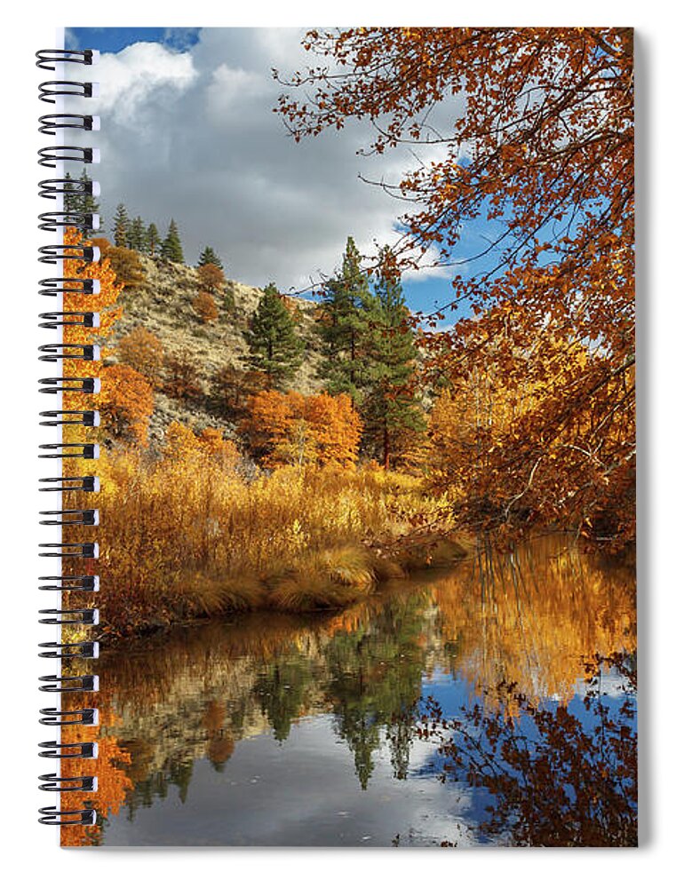 Landscape Spiral Notebook featuring the photograph Susan River Reflections by James Eddy