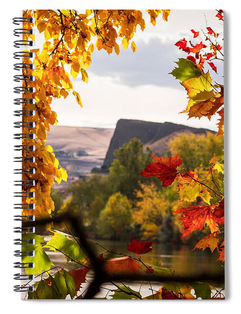 Autumn Spiral Notebook featuring the photograph Swallows Nest in the Fall by Brad Stinson