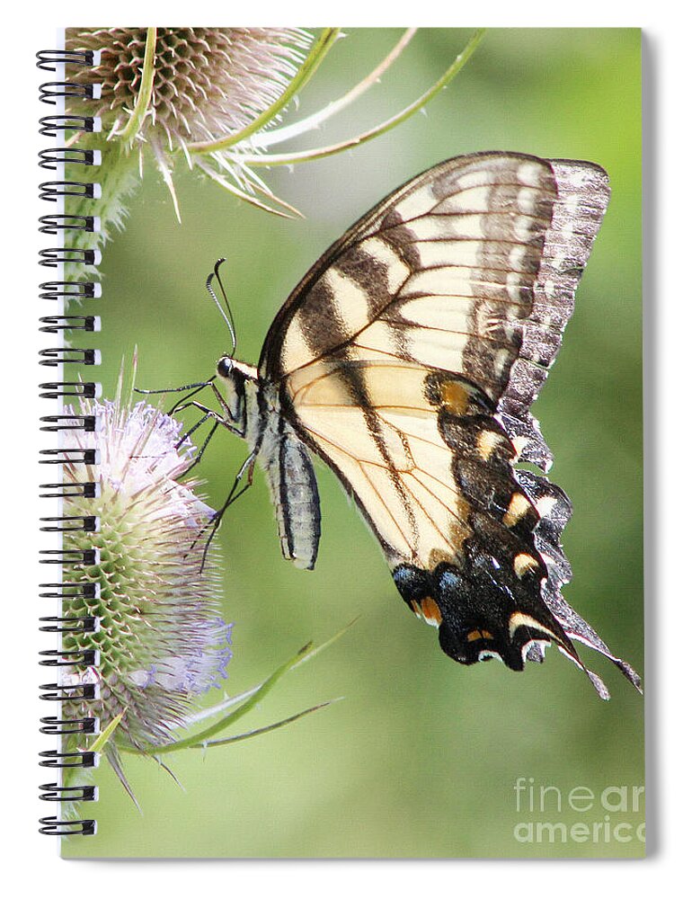 Christian Spiral Notebook featuring the photograph Swallowtail Delight by Anita Oakley