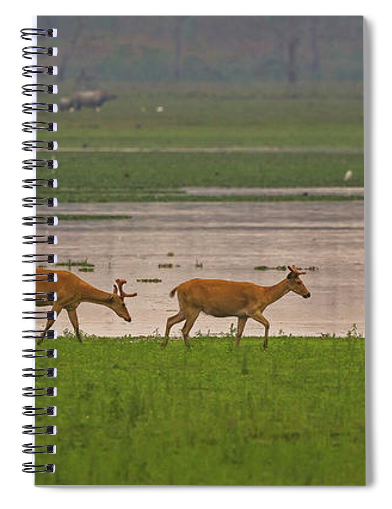 2017 Spiral Notebook featuring the photograph Swamp Deers by Jean-Luc Baron