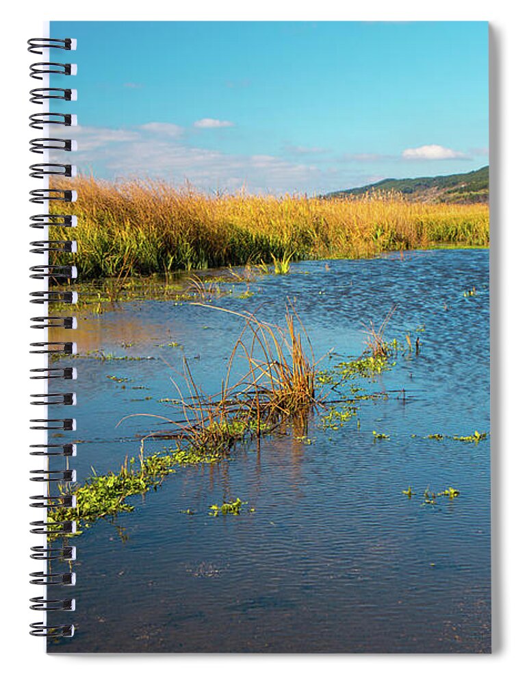 Bulgaria Spiral Notebook featuring the photograph Swamp by Jivko Nakev