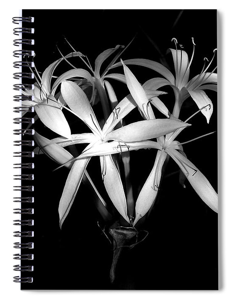Nature Spiral Notebook featuring the photograph Swamp Lilies by Peggy Urban
