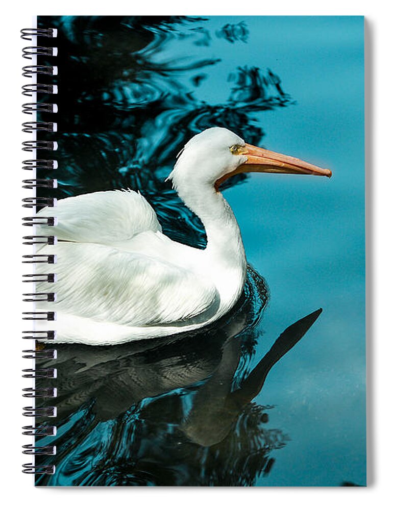 Swan Spiral Notebook featuring the photograph Swan Lake by Debbie Karnes