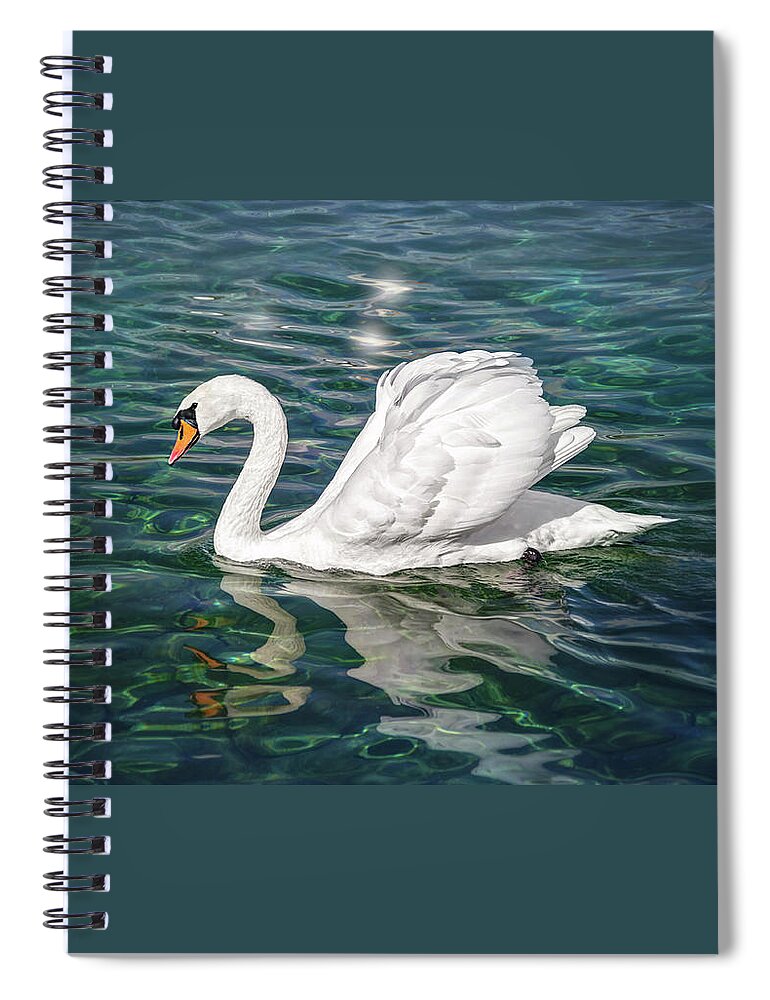 Swan Spiral Notebook featuring the photograph Swan on Lake Geneva Switzerland by Carol Japp