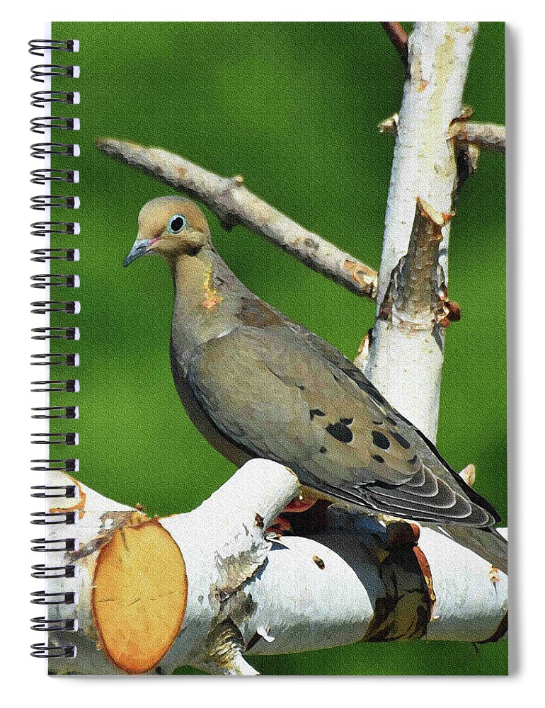 Diane Berry Spiral Notebook featuring the painting Sweet Dove by Diane E Berry