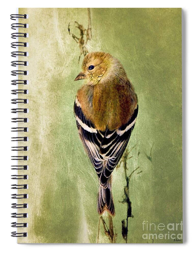 American Goldfinch Spiral Notebook featuring the painting Sweet Goldfinch by Tina LeCour