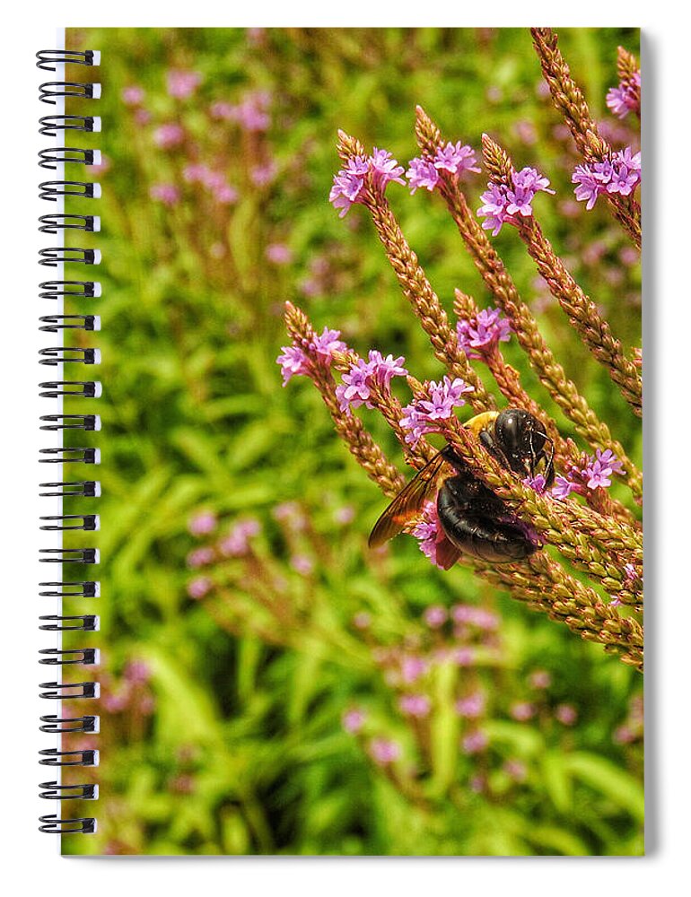  Robinson Nature Center Spiral Notebook featuring the photograph Sweet Senses by Kathi Isserman