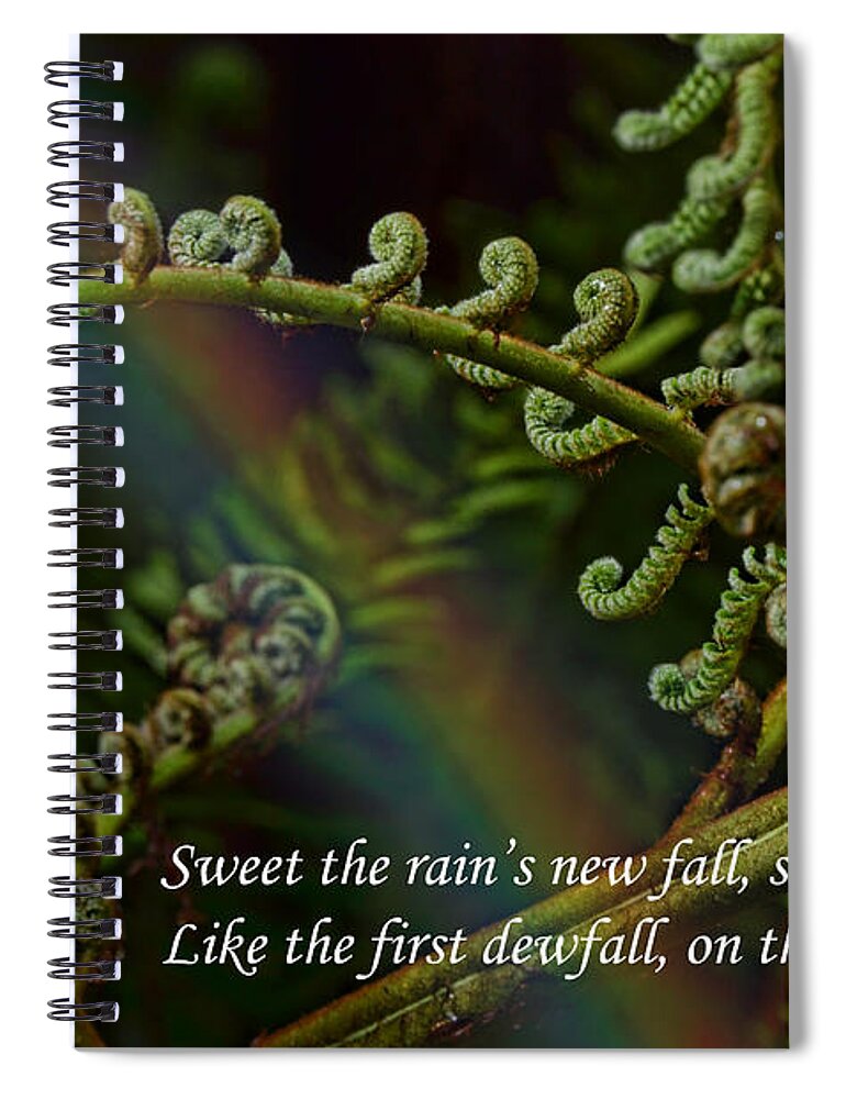 Cat Stevens Spiral Notebook featuring the photograph Sweet the Rain's New Fall by Jim Fitzpatrick