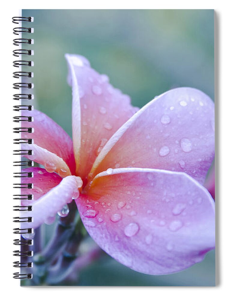 Sweet Things Spiral Notebook featuring the photograph Sweet Things by Sharon Mau