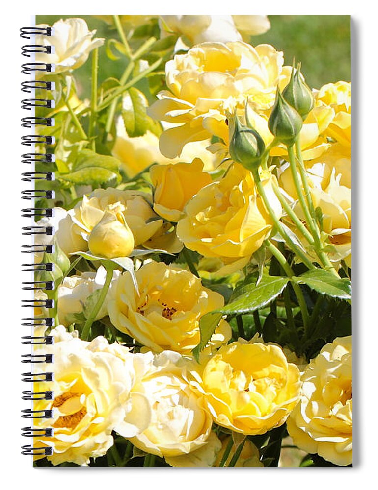 Rose Spiral Notebook featuring the photograph Sweet Yellow Roses by Carol Groenen