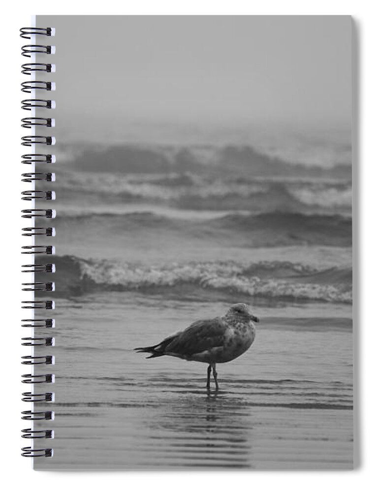 Lynn Spiral Notebook featuring the photograph Swept up in the waves Lynn Seagull by Toby McGuire