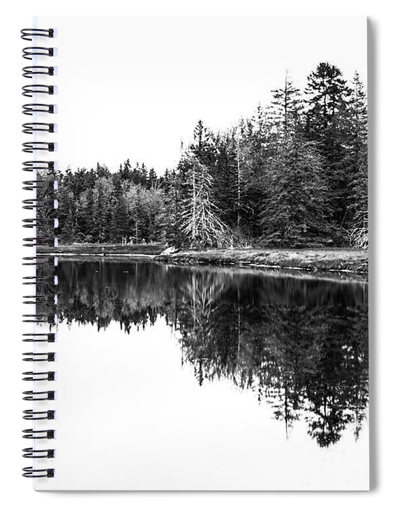 Pine Trees Spiral Notebook featuring the photograph Symmetry by Holly Ross
