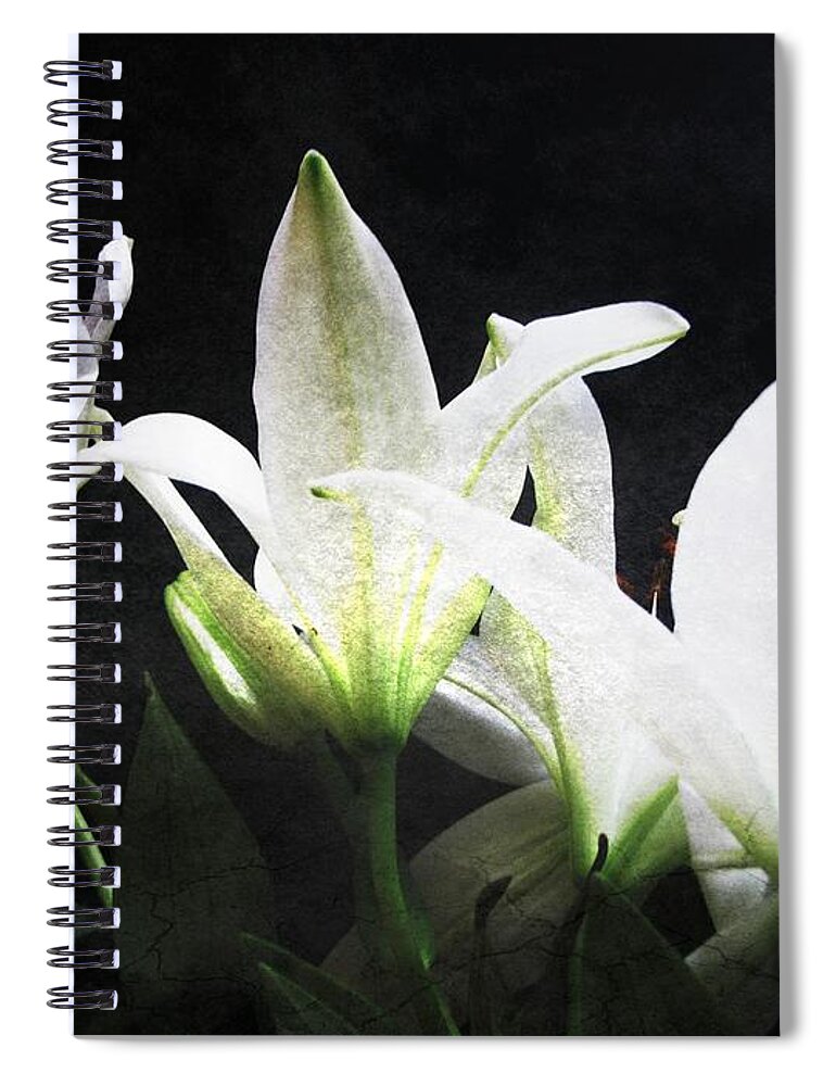  Spiral Notebook featuring the photograph Symphony by Jessica S