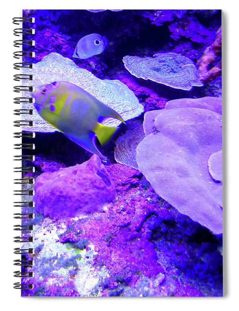 Tropical Spiral Notebook featuring the photograph TA Purple Coral and Fish by Francesca Mackenney