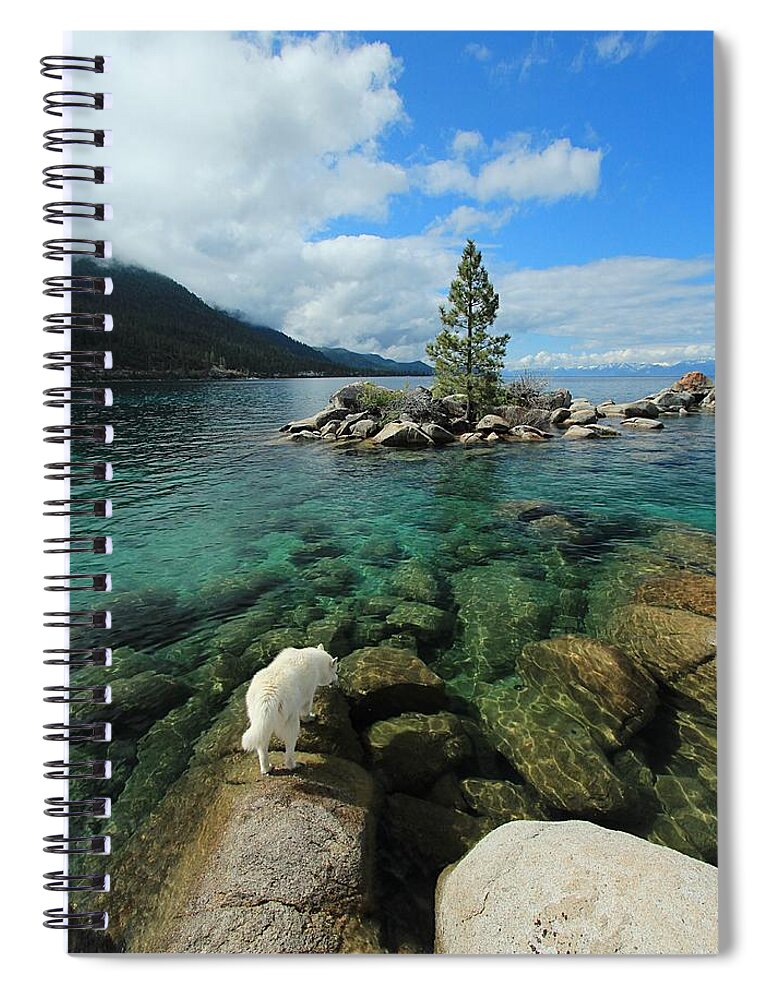Lake Tahoe Spiral Notebook featuring the photograph Tahoe Tap ...Nectar of The Gods by Sean Sarsfield