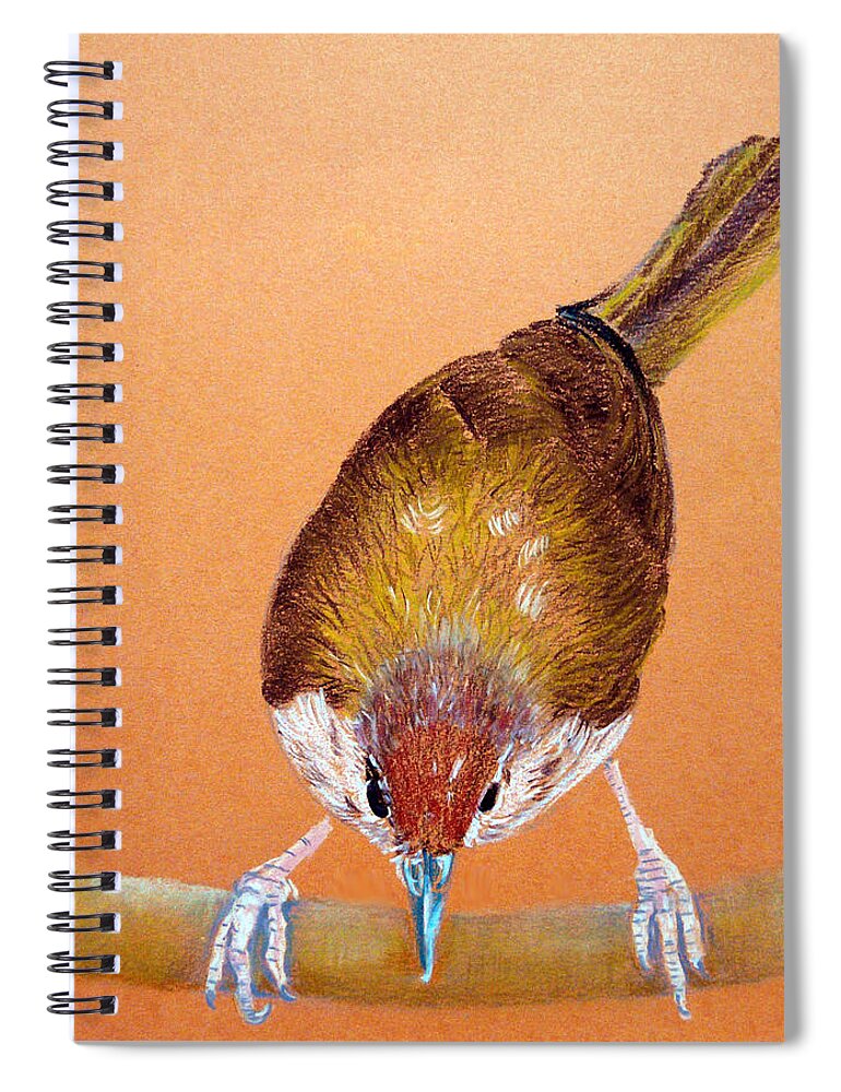Tailor Bird Spiral Notebook featuring the drawing Tailor Bird by Jasna Dragun