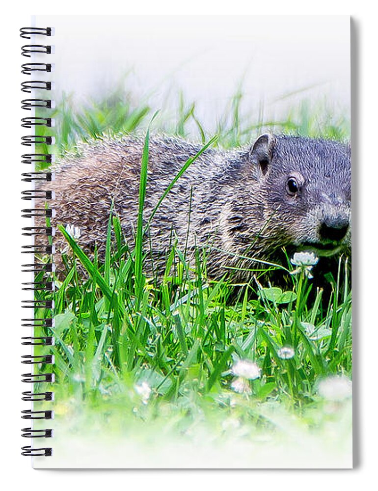 2d Spiral Notebook featuring the photograph Take Time To Smell The Flowers by Brian Wallace