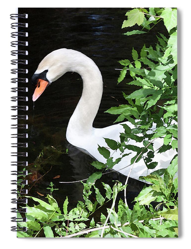 Photograph Spiral Notebook featuring the photograph Taking a Drink - Watercolor by Suzanne Gaff