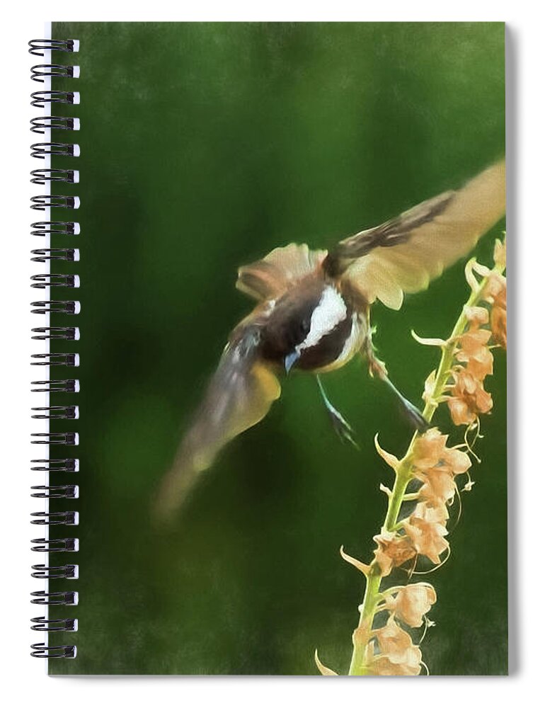 Bird Spiral Notebook featuring the photograph Chickadee in Flight 2 by Marilyn Wilson
