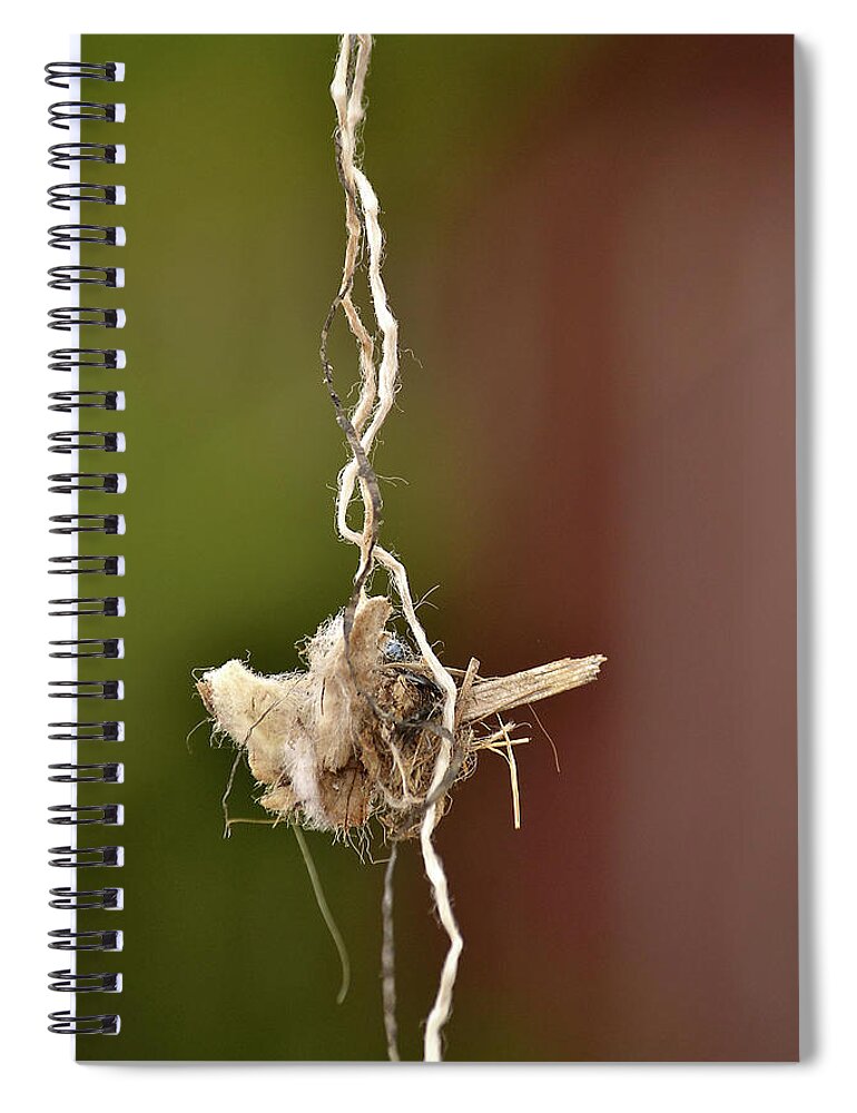 Trash Spiral Notebook featuring the photograph Talisman or Trash by Nadalyn Larsen