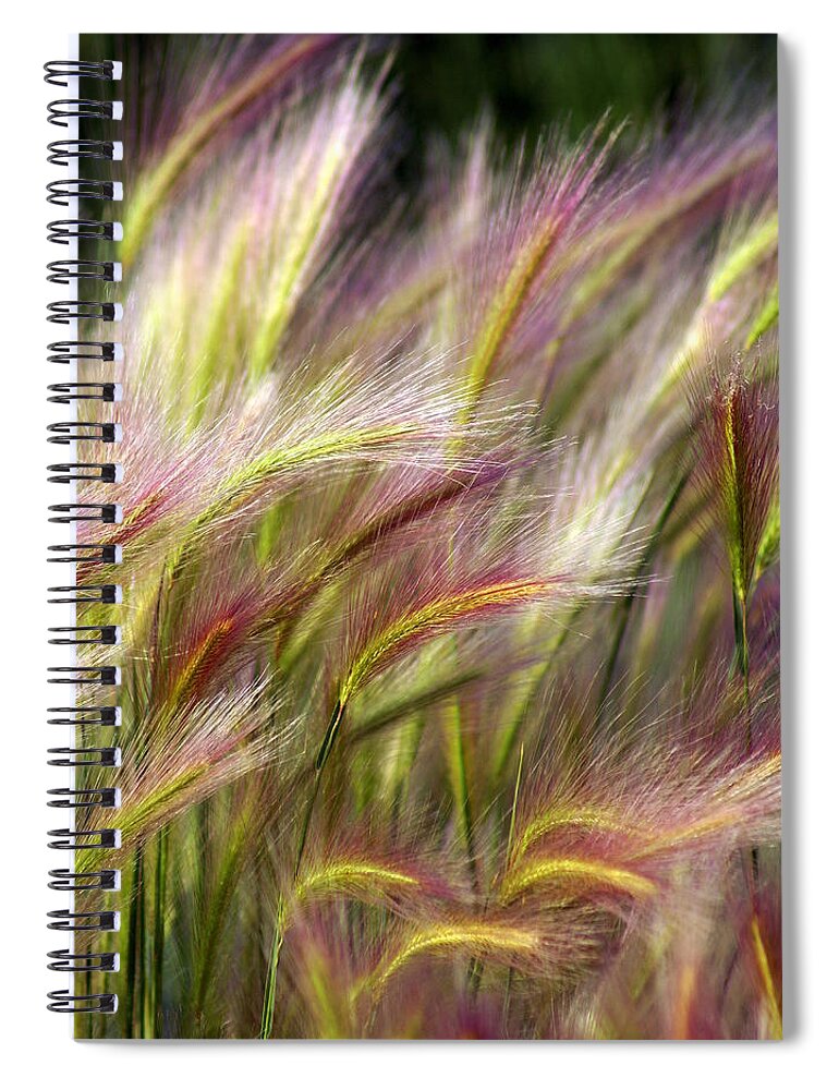 Plants Spiral Notebook featuring the photograph Tall Grass by Marty Koch