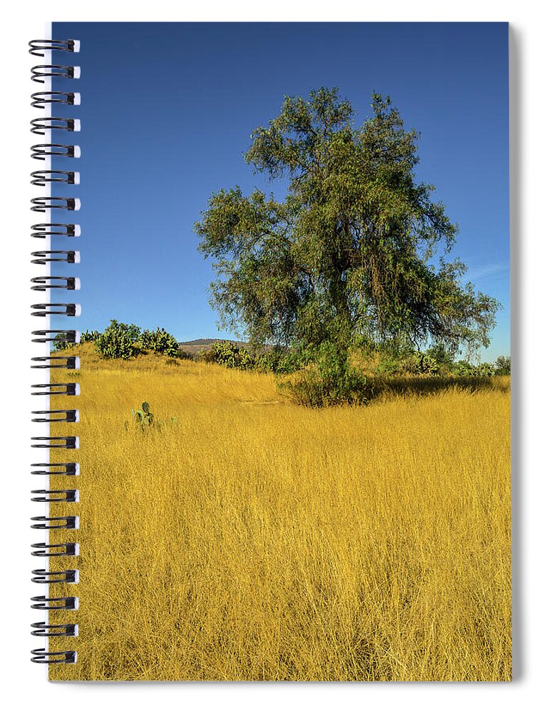 Tree Spiral Notebook featuring the photograph Tall Under The Sun. Mexico by Ksenia VanderHoff