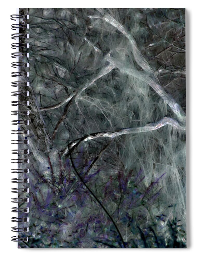Forest Spiral Notebook featuring the photograph Tangled Forest by Gina O'Brien