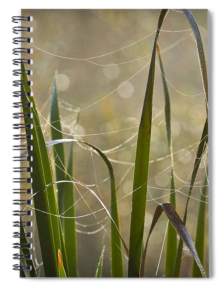 Foggy Morning Spiral Notebook featuring the photograph Tangled Highway by Carolyn Marshall