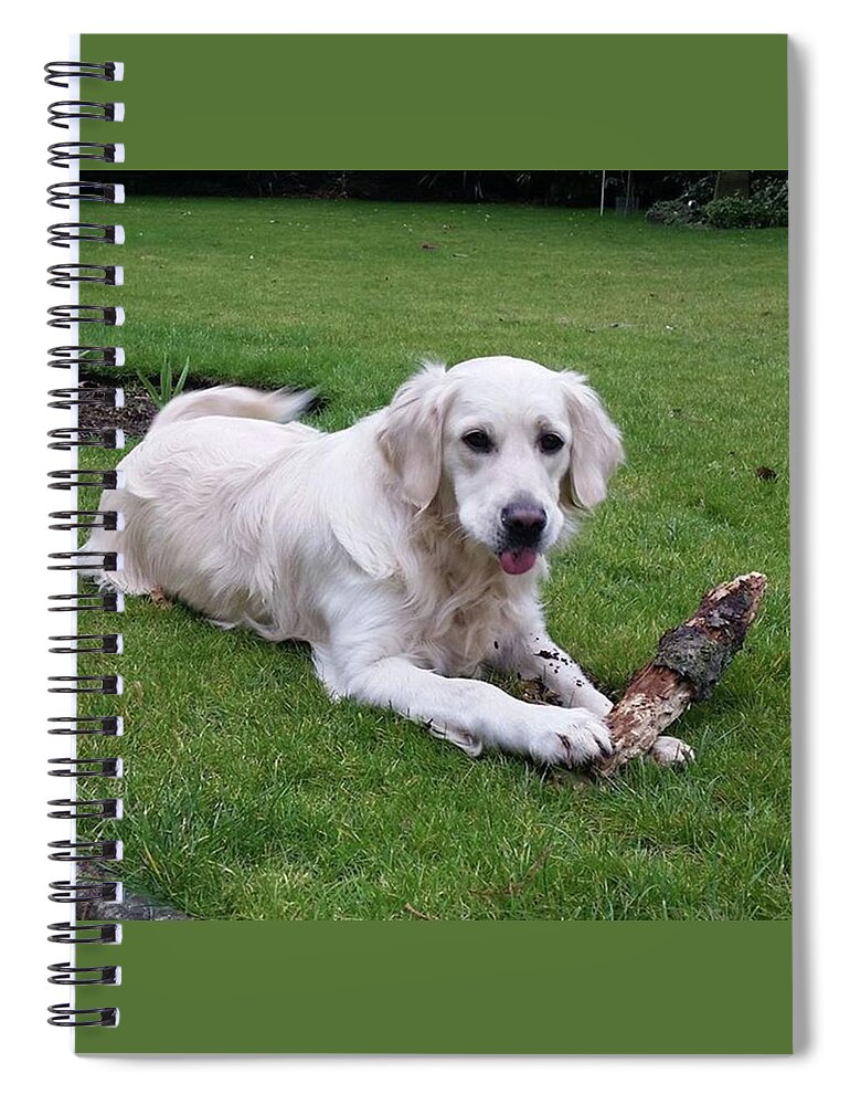 Dog Spiral Notebook featuring the photograph Log Pile Trophy by Rowena Tutty