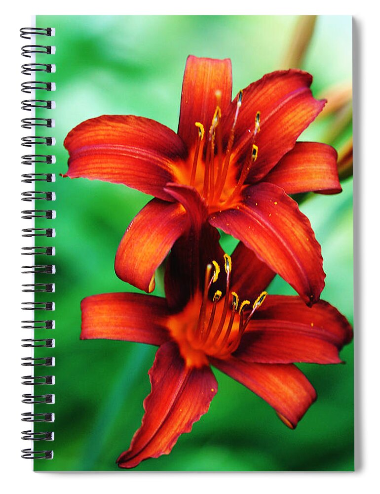 Tawny Lily Spiral Notebook featuring the photograph Tawny Beauty by Debbie Oppermann