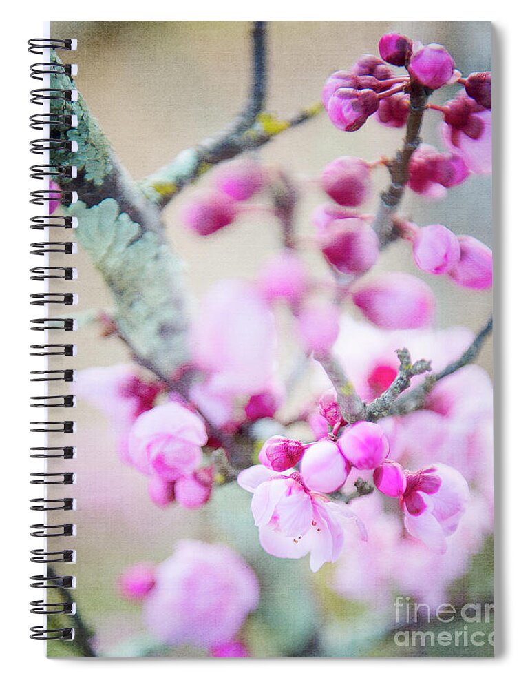 Australia Photography Spiral Notebook featuring the photograph Temptation of Pink by Ivy Ho