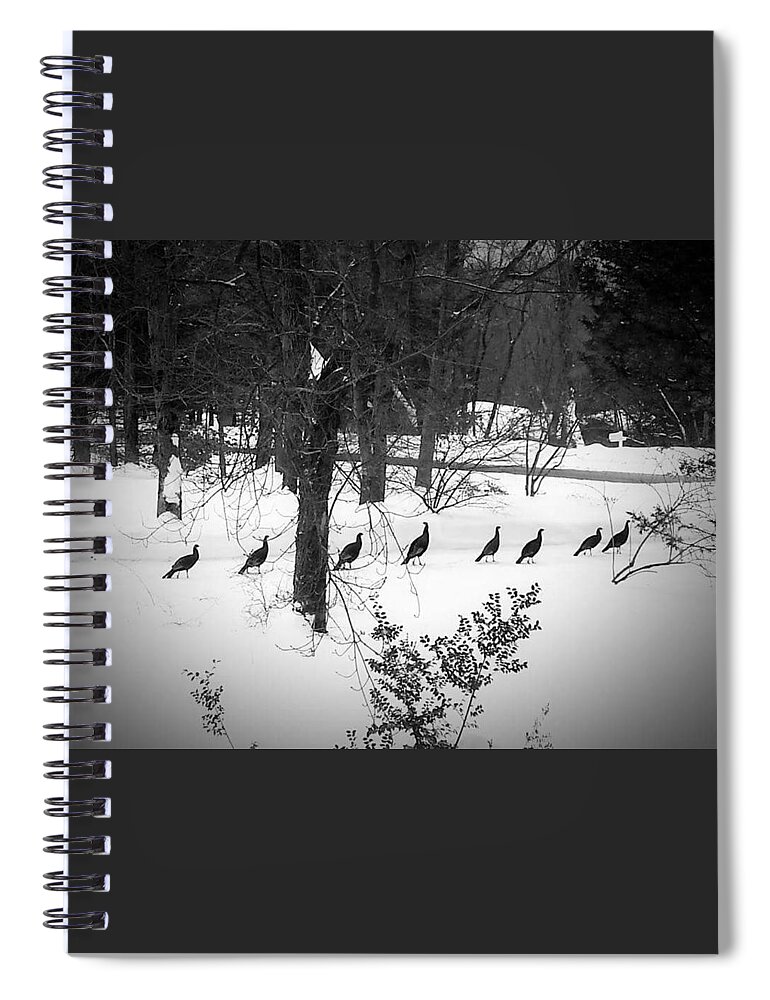 Turkey Spiral Notebook featuring the photograph Ten Turkey Stroll on a Thursday, Two Were Out Of Line by Dani McEvoy