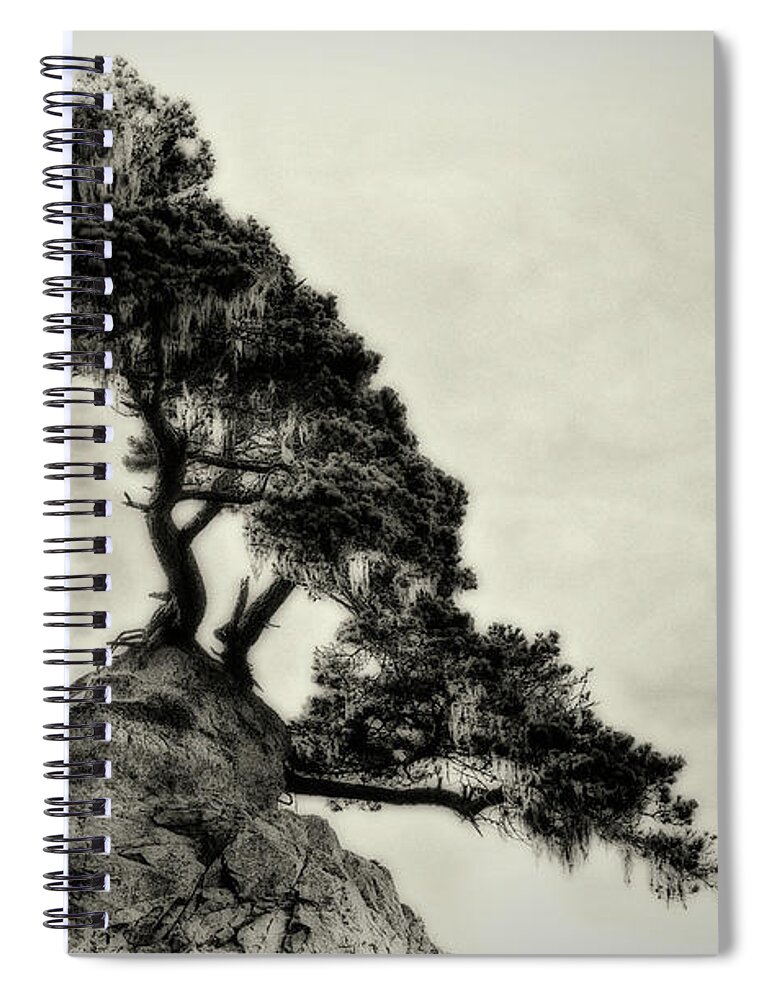 Betty Depee Spiral Notebook featuring the photograph Tenacity by Betty Depee