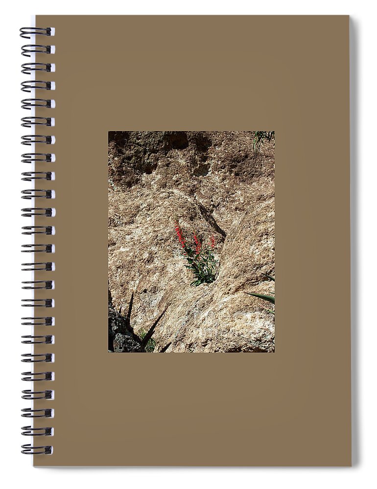 Wildflowers; Flowers Spiral Notebook featuring the photograph Tenacity by Kathy McClure
