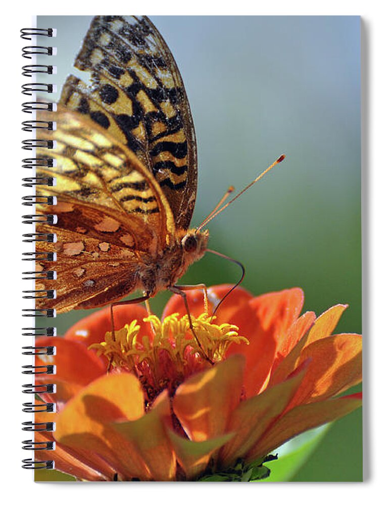 Butterfly Spiral Notebook featuring the photograph Tenderness by Glenn Gordon