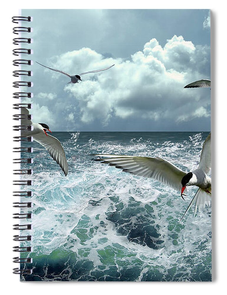 Ocean Spiral Notebook featuring the digital art Terns In The Surf by Spadecaller