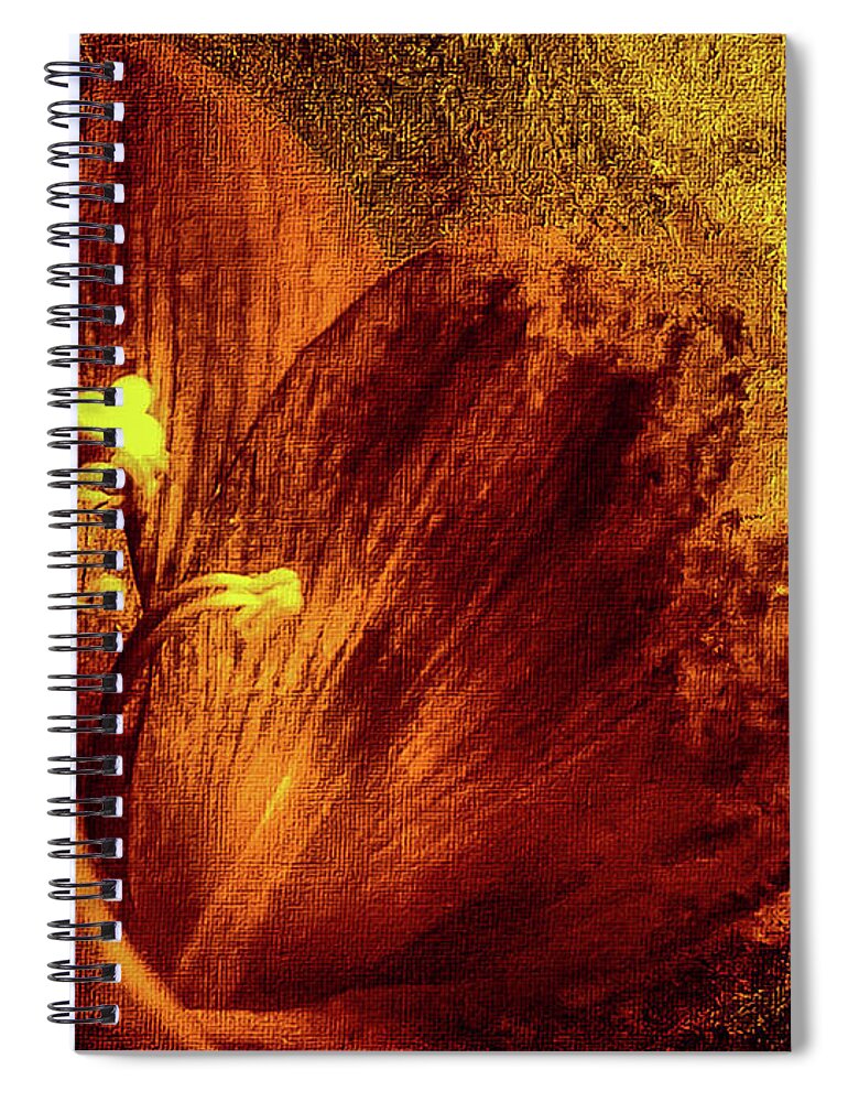 Mona Stut Spiral Notebook featuring the digital art Terracotta Orange Hyperastrum by Mona Stut